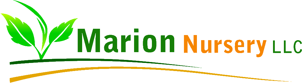 Marion Nursery